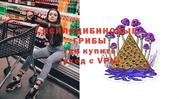 дурь Аркадак
