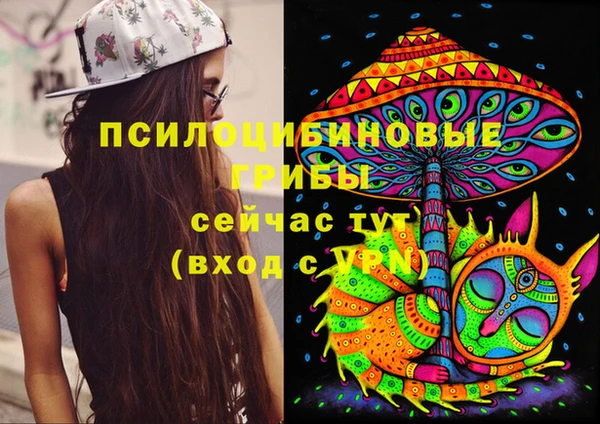 дурь Аркадак