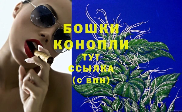 трава Арсеньев